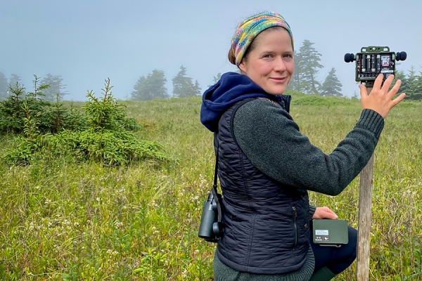 Sarah Dobney collects recordings at a savannah sparrow nest 