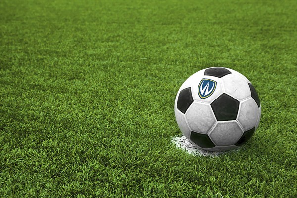 soccer ball sitting on pitch