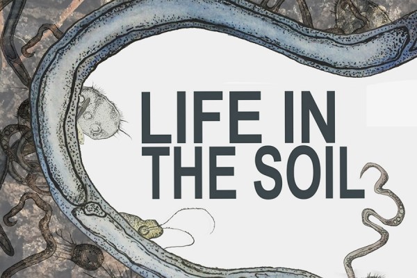 graphic: “Life in the Soil&quot;