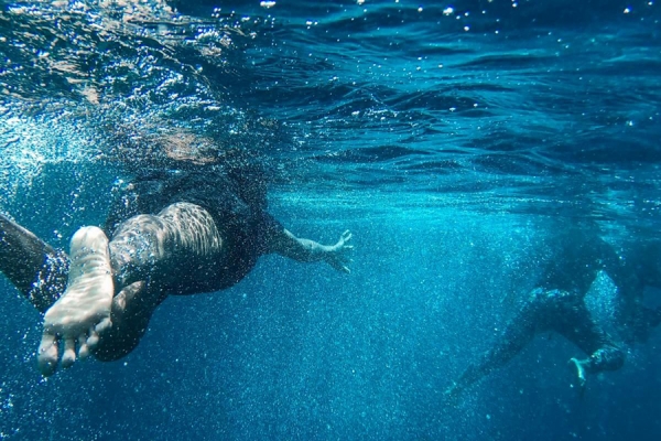 underwater view of swimmers
