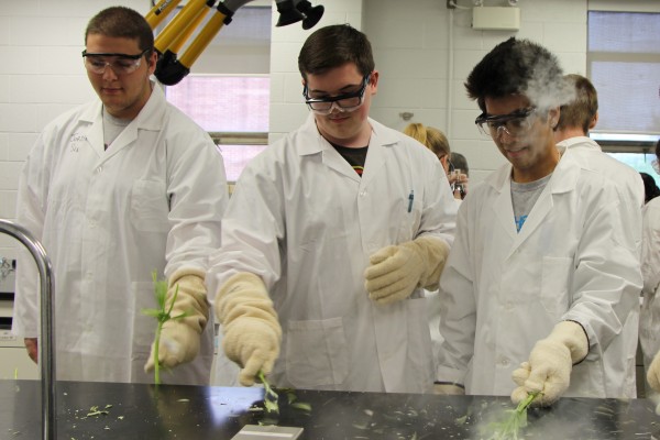 As part of one of the Windsor Science Academy program activities, Sandwich Secondary students Jordan Sin (l.), Liam Salt (centre) and CJ Rempillo (r.) shatter flowers they had flash-frozen by dipping them in liquid nitrogen at -196° C.