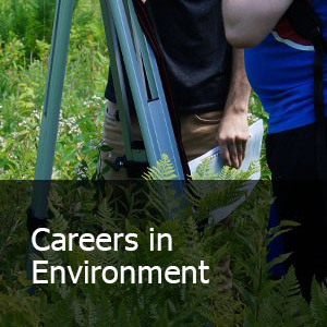 Careers in Environment