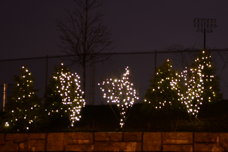 Lights on trees outside University Stadium