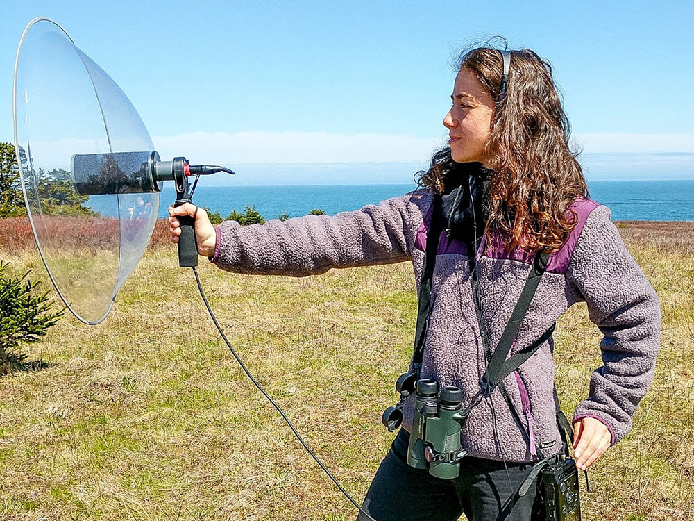 Ines Moran records the acoustics from the Savannah Sparrow on Kent Island in this handout photo.